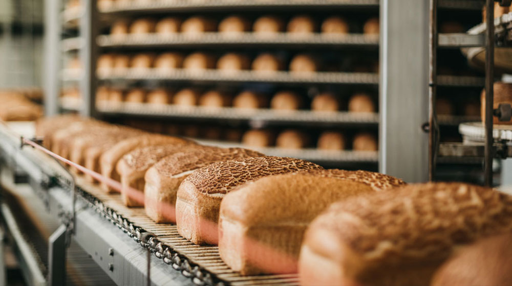 Bread in conveyor belt